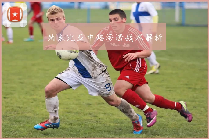 纳米比亚中路渗透战术解析