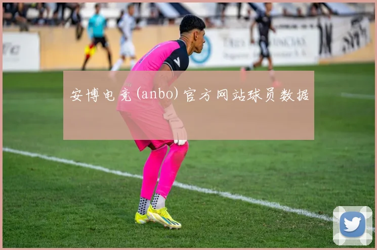 安博电竞(anbo)官方网站球员数据