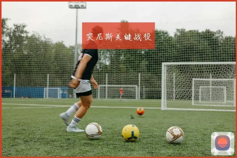 突尼斯关键战役