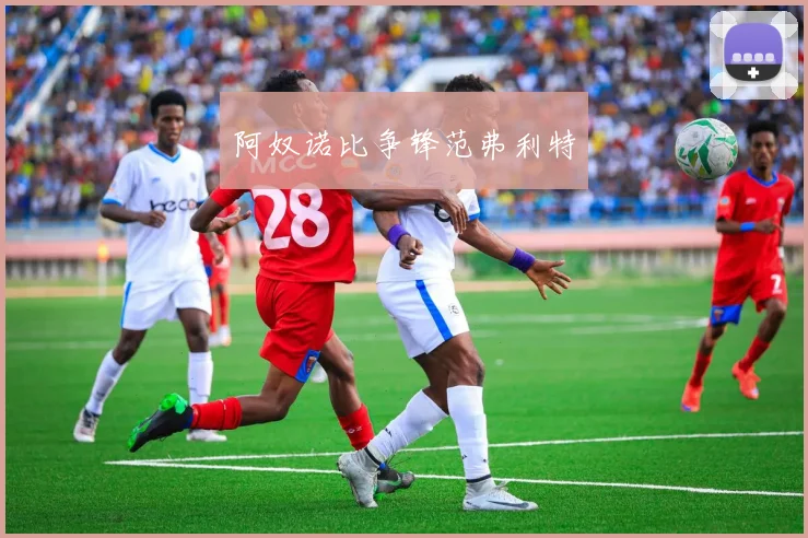 阿奴诺比争锋范弗利特