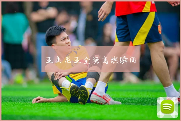 亚美尼亚全场高燃瞬间