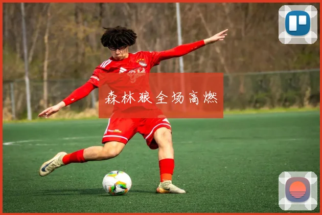 森林狼全场高燃