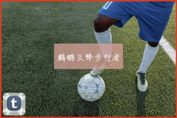 鹈鹕交锋步行者