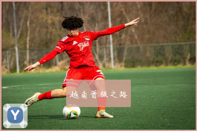 越南晋级之路