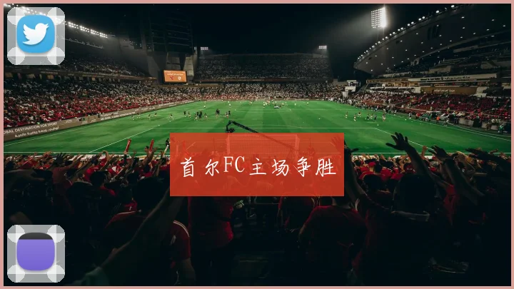 首尔FC主场争胜