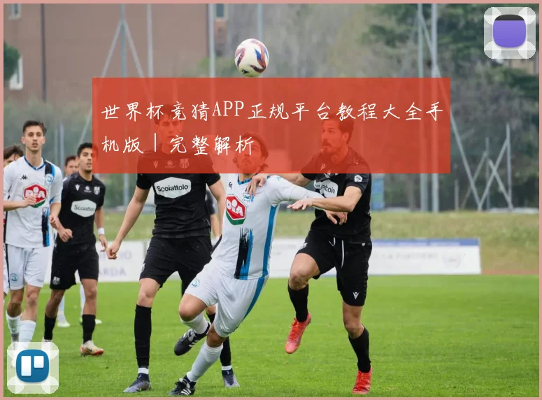 世界杯竞猜APP正规平台教程大全手机版｜完整解析