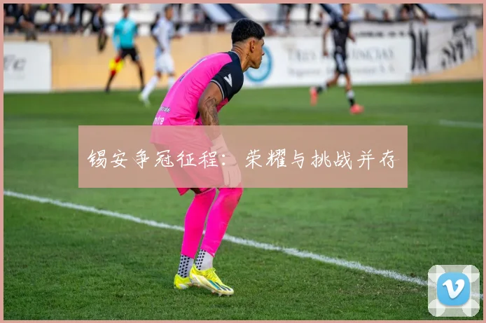 锡安争冠征程：荣耀与挑战并存