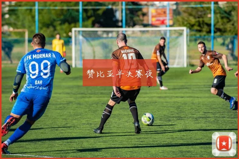 赞比亚半决赛夜