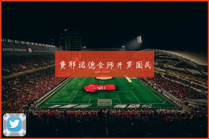 费耶诺德会师开罗国民