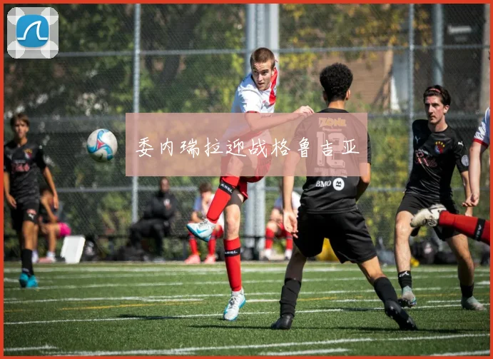 委内瑞拉迎战格鲁吉亚