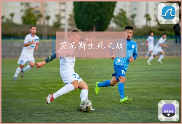 突尼斯生死之战