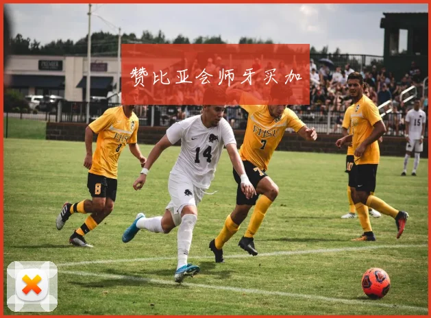 赞比亚会师牙买加