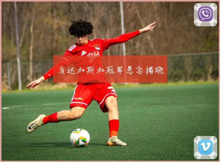 马达加斯加冠军悬念揭晓