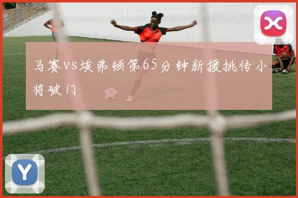 马赛vs埃弗顿第65分钟新援挑传小将破门
