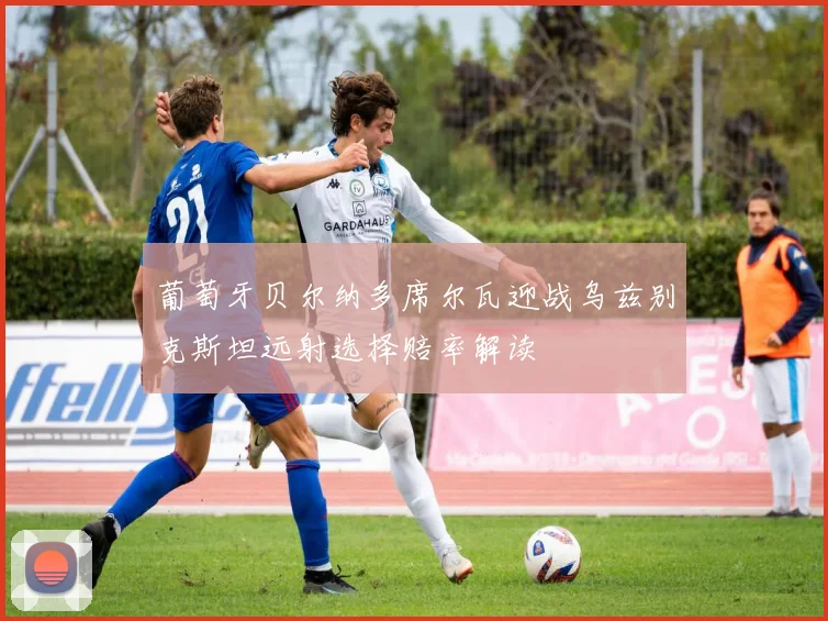 葡萄牙贝尔纳多席尔瓦迎战乌兹别克斯坦远射选择赔率解读
