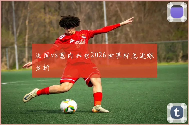 法国vs塞内加尔2026世界杯总进球分析