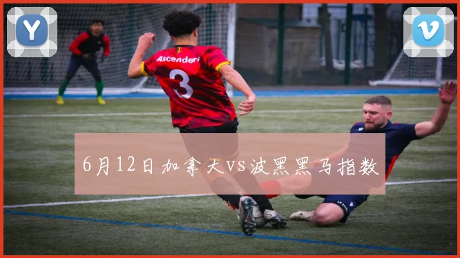 6月12日加拿大vs波黑黑马指数