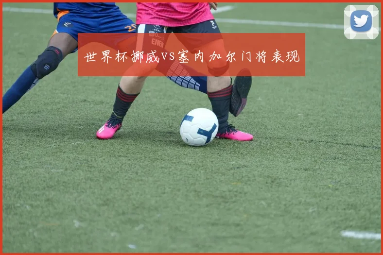 世界杯挪威vs塞内加尔门将表现