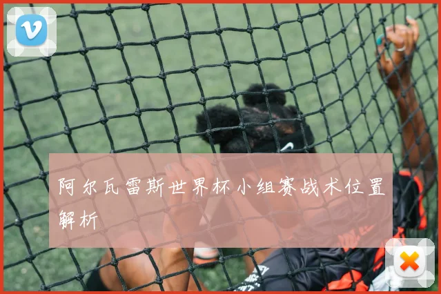 阿尔瓦雷斯世界杯小组赛战术位置解析